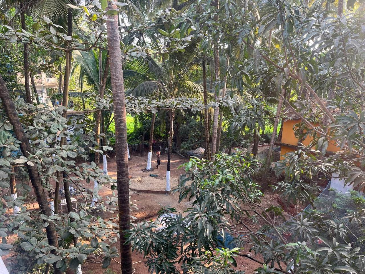 מוריג'ים Tender Coconut מראה חיצוני תמונה